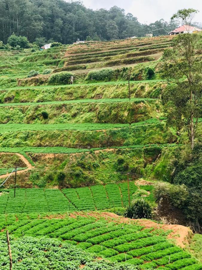 Mountain View Cottage Ooty Exteriör bild