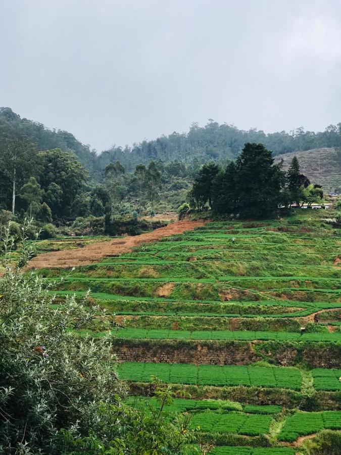 Mountain View Cottage Ooty Exteriör bild