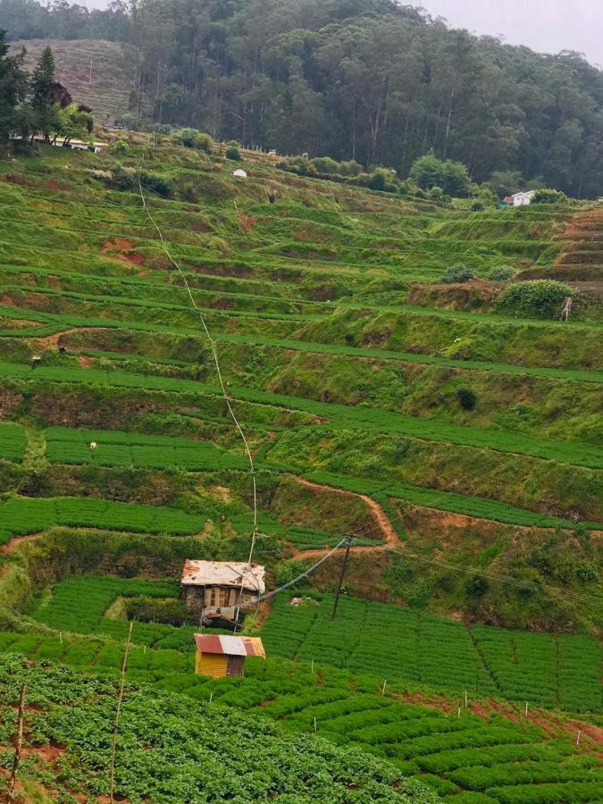 Mountain View Cottage Ooty Exteriör bild