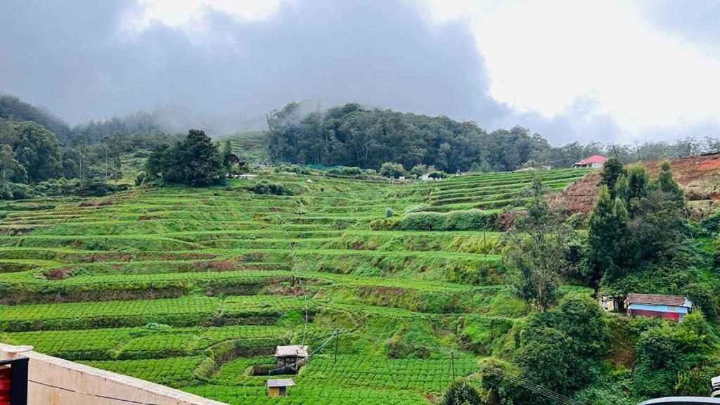 Mountain View Cottage Ooty Exteriör bild