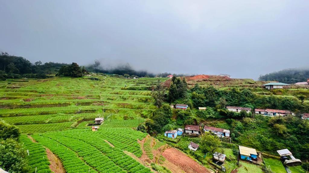 Mountain View Cottage Ooty Exteriör bild